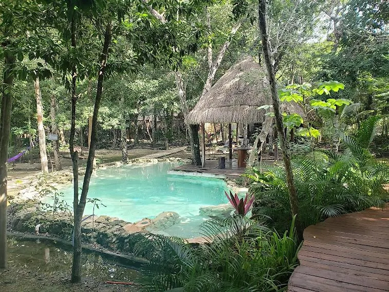 Jungle Chic Villa In Chemuyil Tulum
