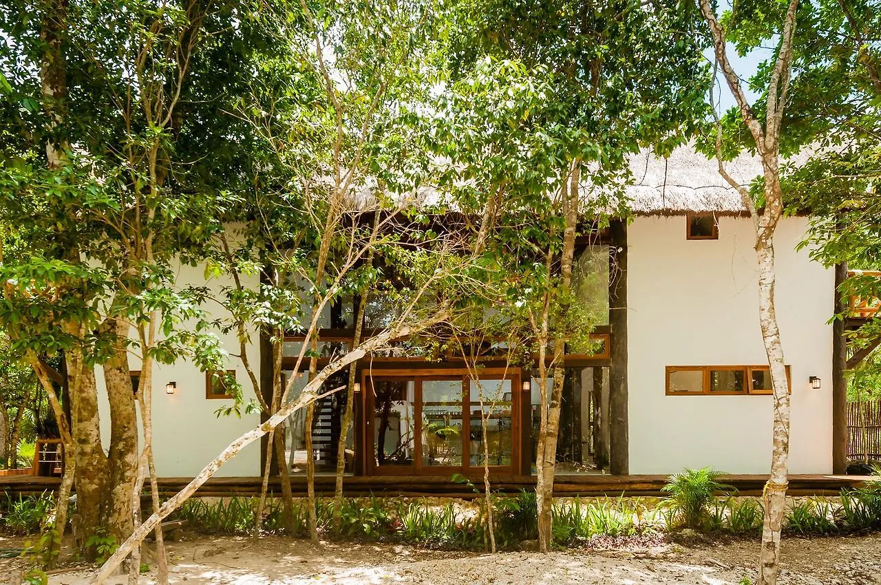 Jungle Chic Villa In Chemuyil Tulum